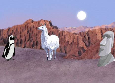 Entdeckt Chile mit euren Begleitern!